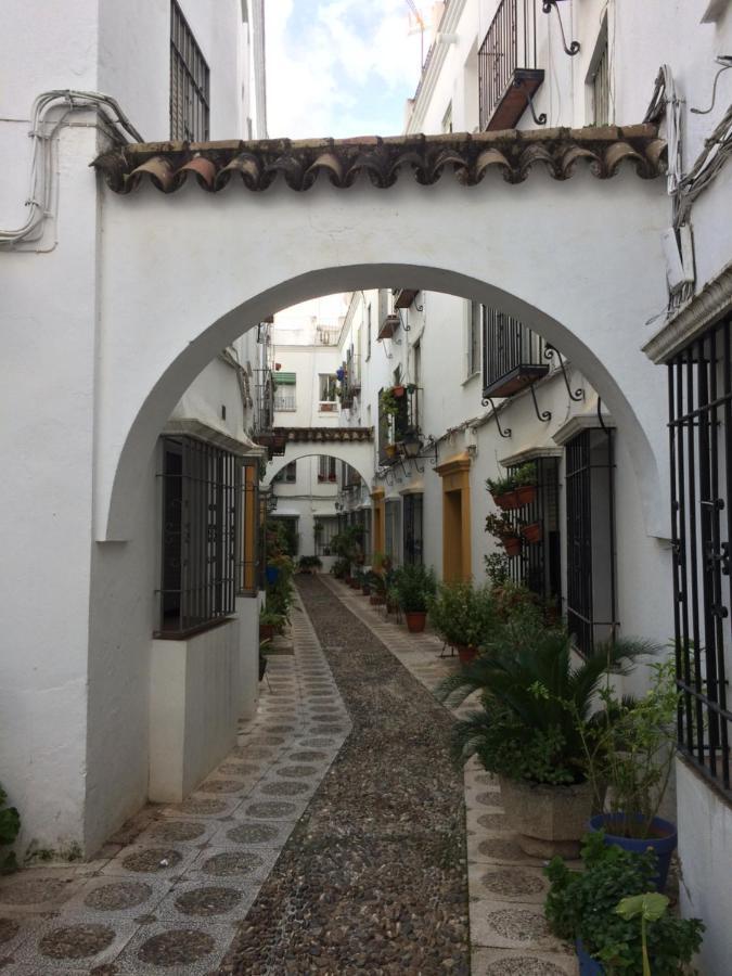 Apartamento Lujosa Vivienda En Plena Judería *